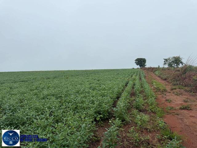 #4277 - Fazenda para Venda em Montes Claros de Goiás - GO