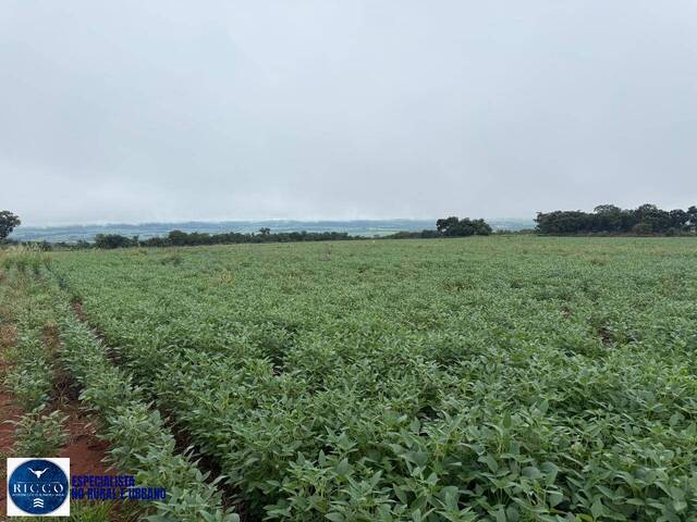 Fazenda para Venda em Montes Claros de Goiás - 5