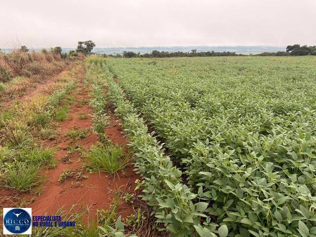 #4277 - Fazenda para Venda em Montes Claros de Goiás - GO