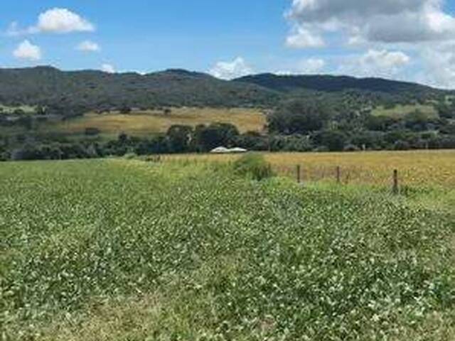 #4278 - Chácara para Venda em Iporá - GO