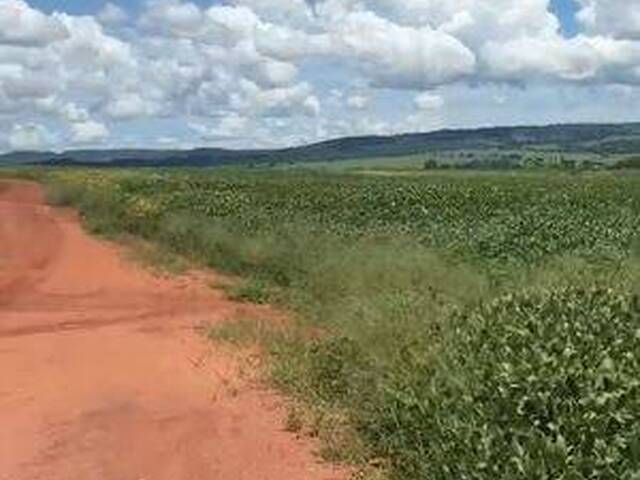 Chácara para Venda em Iporá - 4