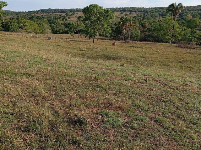 #4279 - Fazenda para Venda em Iporá - GO