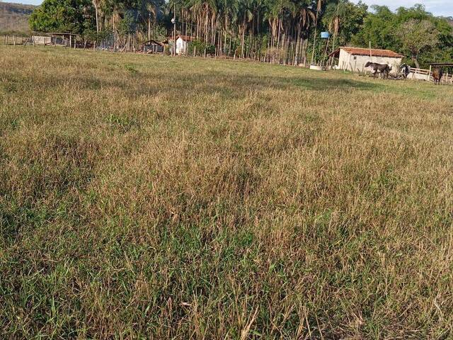 Venda em zona rural - Iporá