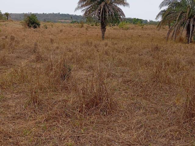 Fazenda para Venda em Iporá - 4