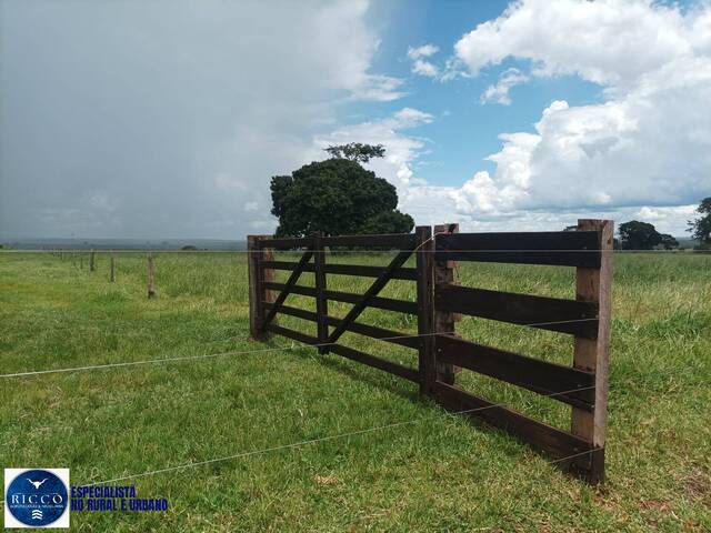 #4281 - Fazenda para Venda em Itarumã - GO