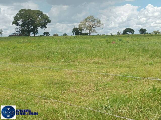 Fazenda para Venda em Itarumã - 4