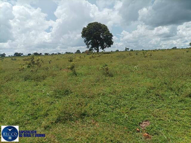 Fazenda para Venda em Itarumã - 5