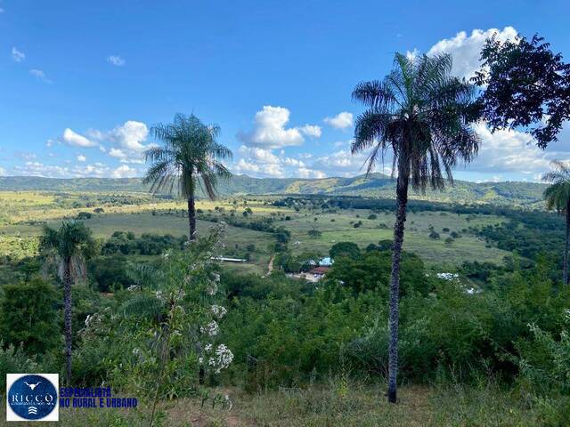 #4284 - Fazenda para Venda em Pirenópolis - GO