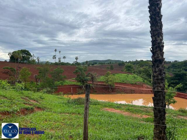 #4285 - Chácara para Venda em Pirenópolis - GO