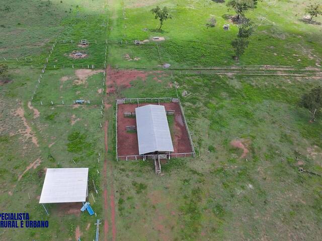Fazenda para Venda em Araguaçu - 5