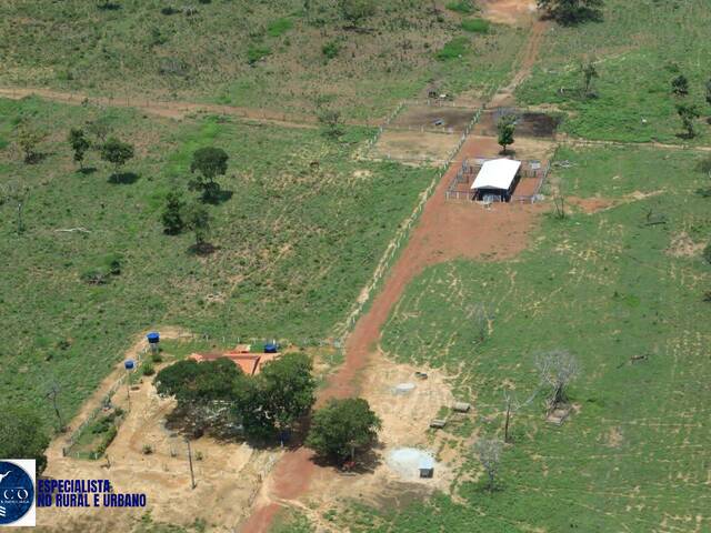 #4287 - Fazenda para Venda em Araguaçu - TO