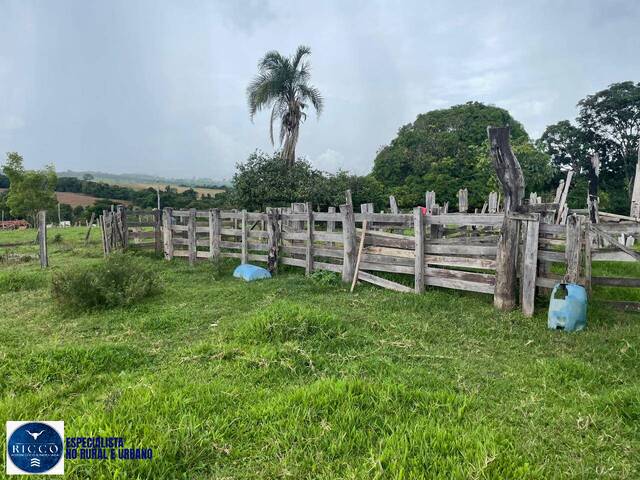 #4289 - Chácara para Venda em Itaberaí - GO