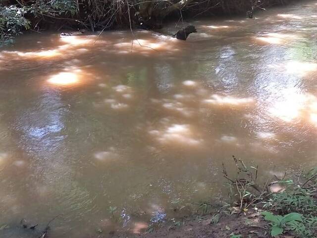 #4290 - Chácara para Venda em Bonfinópolis - GO