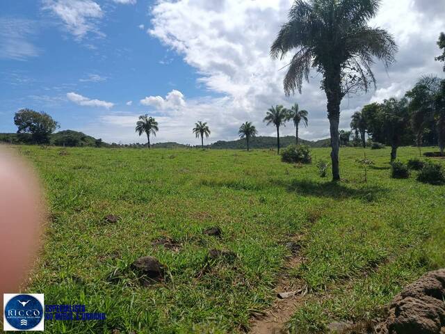 #4292 - Fazenda para Venda em Arenópolis - GO