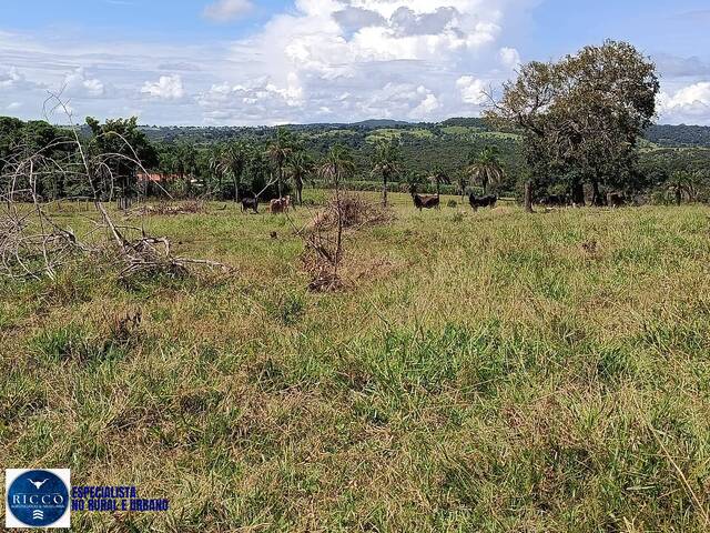 Fazenda para Venda em Arenópolis - 4