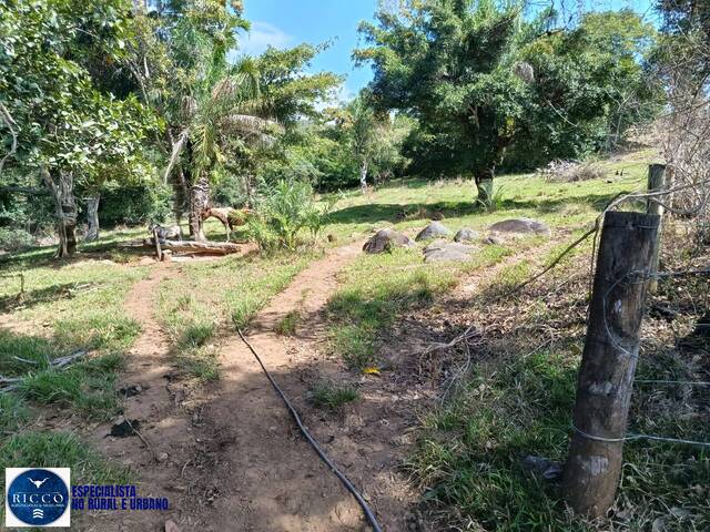 Fazenda para Venda em Arenópolis - 5
