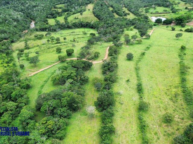 #4293 - Fazenda para Venda em Santa Cruz de Goiás - GO