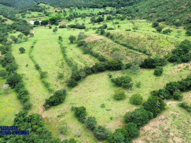 #4293 - Fazenda para Venda em Santa Cruz de Goiás - GO