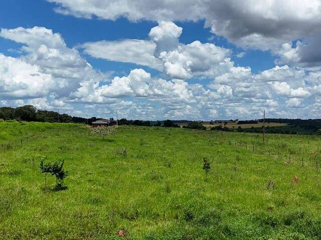 Chácara para Venda em Bela Vista de Goiás - 4