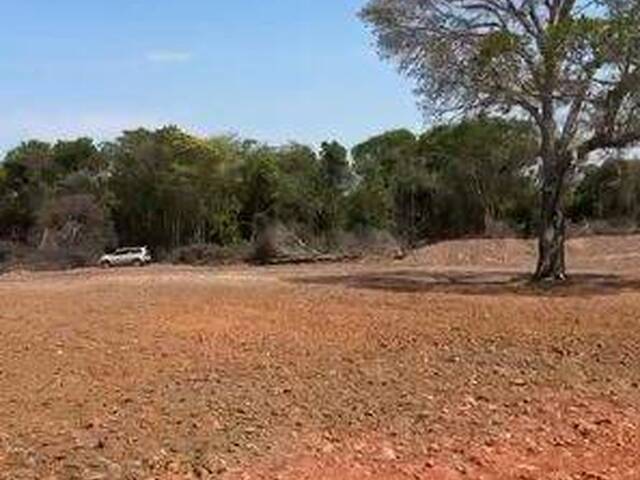 Fazenda para Venda em São Luís de Montes Belos - 4