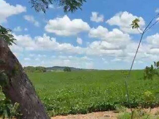 Venda em zona rural - São Luís de Montes Belos