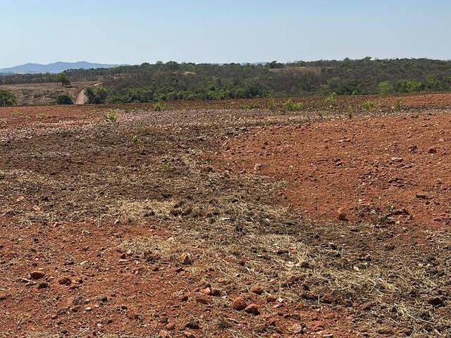 Fazenda para Venda em São Luís de Montes Belos - 5