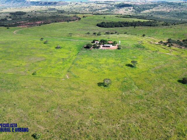 #4297 - Fazenda para Venda em Caiapônia - GO