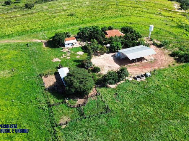 #4297 - Fazenda para Venda em Caiapônia - GO