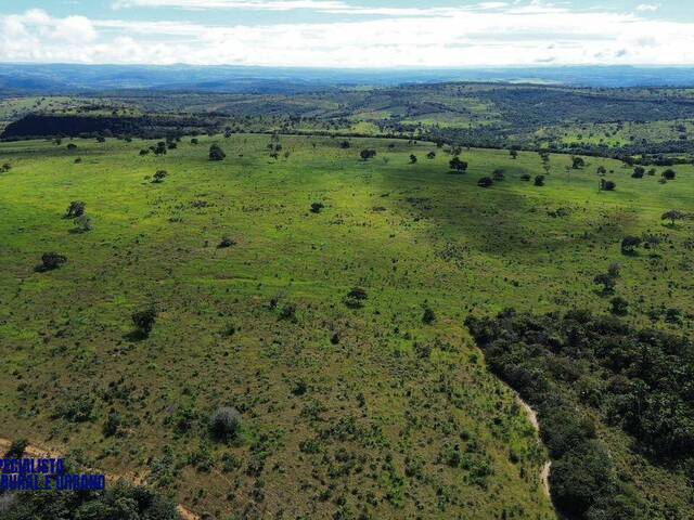 Fazenda para Venda em Caiapônia - 5