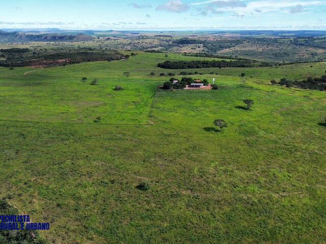 Fazenda para Venda em Caiapônia - 4