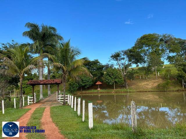 #4299 - Chácara para Venda em Hidrolândia - GO