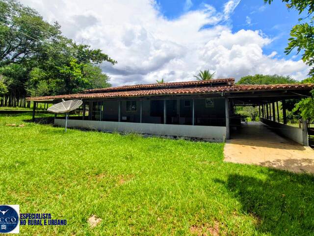 #4302 - Chácara para Venda em Goiás - GO