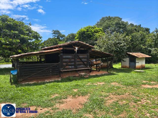 Chácara para Venda em Goiás - 4