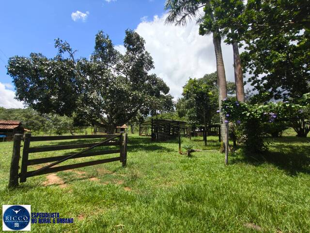 Chácara para Venda em Goiás - 5