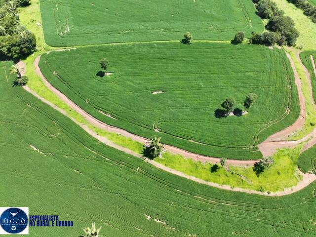 #4303 - Fazenda para Venda em Caiapônia - GO