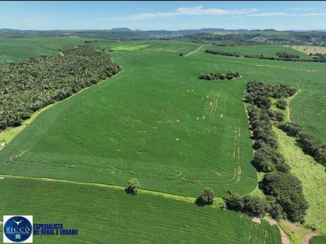 #4303 - Fazenda para Venda em Caiapônia - GO
