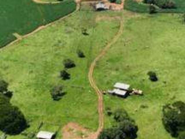 Fazenda para Venda em Caiapônia - 4
