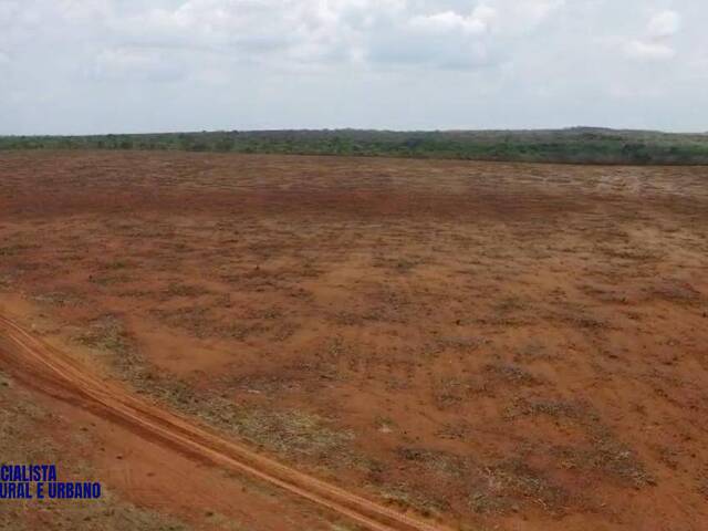 Fazenda para Venda em Tupiratins - 5