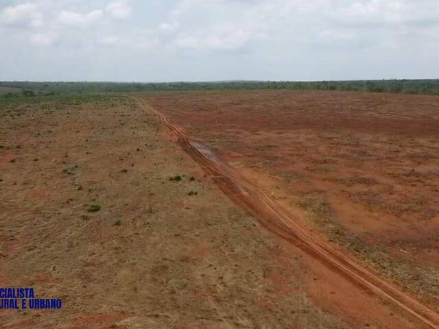 Fazenda para Venda em Tupiratins - 4