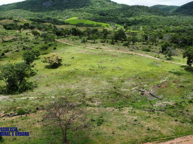 Fazenda para Venda em Minaçu - 4