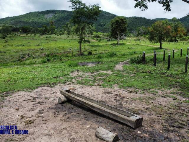 Fazenda para Venda em Minaçu - 5