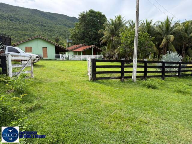#4306 - Fazenda para Venda em Paranã - TO