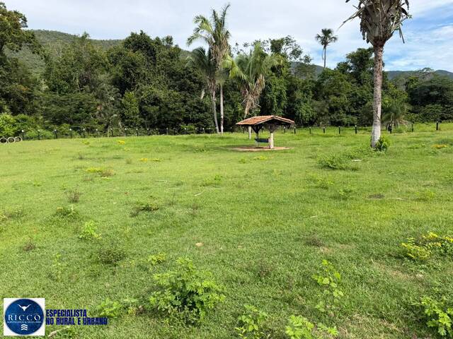 #4306 - Fazenda para Venda em Paranã - TO
