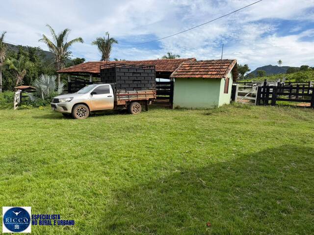 Fazenda para Venda em Paranã - 4