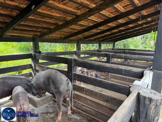 Fazenda para Venda em Paranã - 5