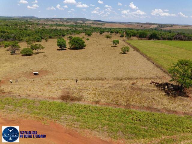 #4307 - Fazenda para Venda em Caiapônia - GO