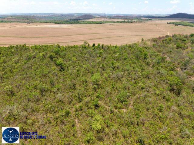 Fazenda para Venda em Caiapônia - 4