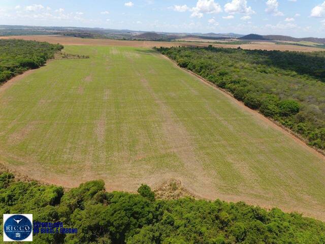 Fazenda para Venda em Caiapônia - 5