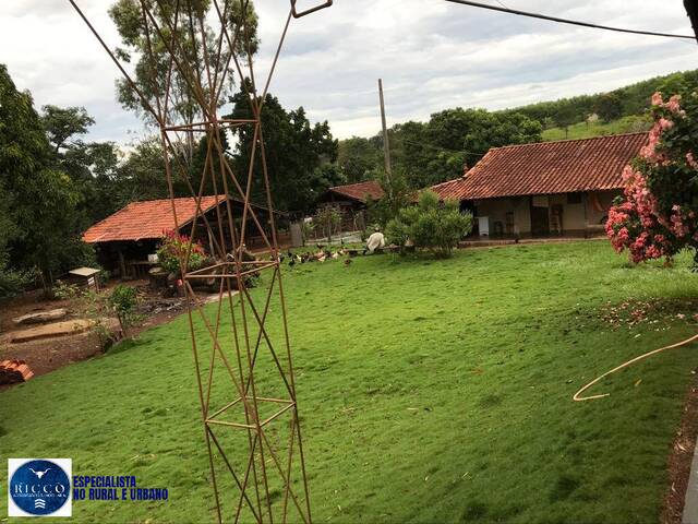 Chácara para Venda em Anicuns - 4