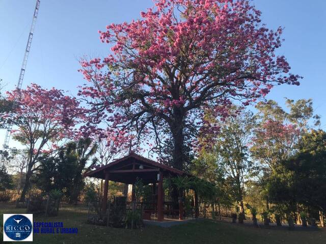 #4310 - Chácara para Venda em Anicuns - GO